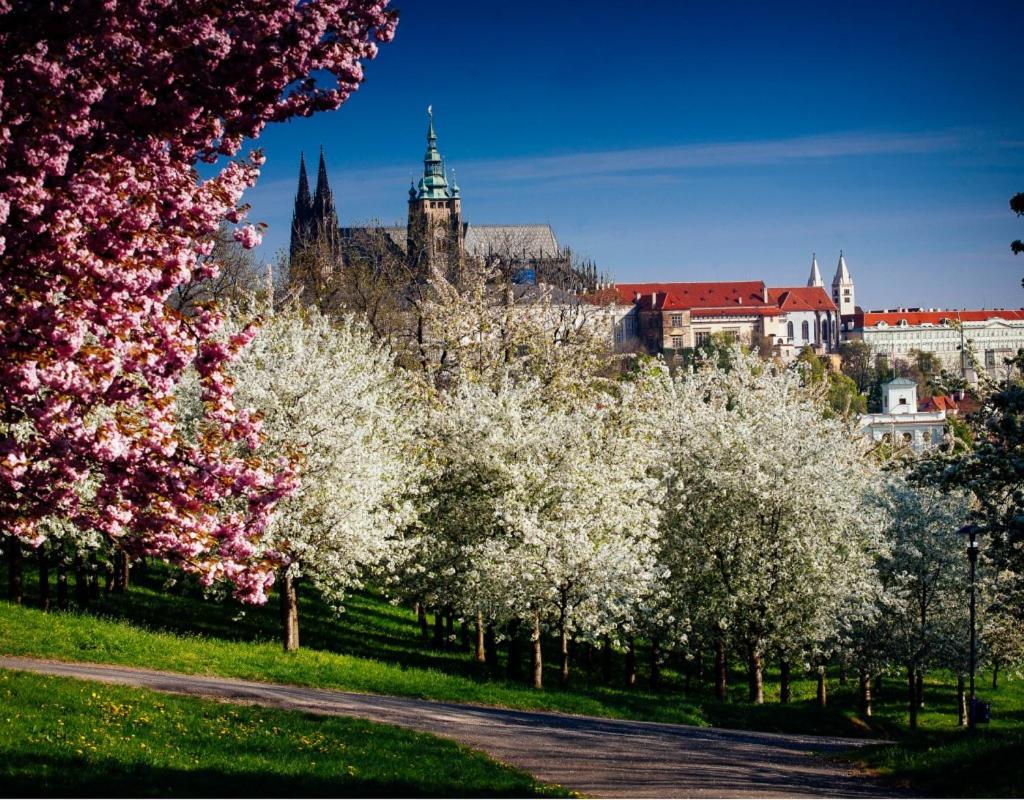 Royal Apartments Prague By Michal&Friends エクステリア 写真