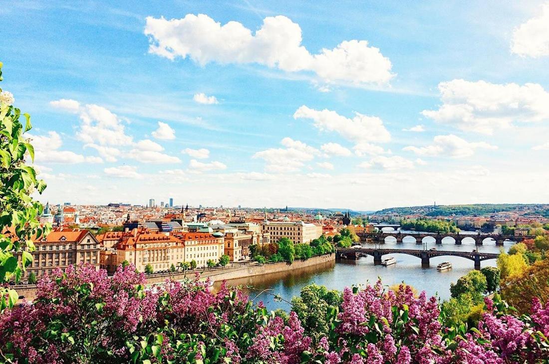 Royal Apartments Prague By Michal&Friends エクステリア 写真